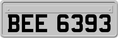 BEE6393