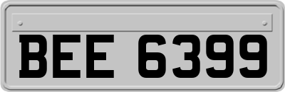 BEE6399