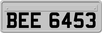 BEE6453