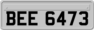 BEE6473