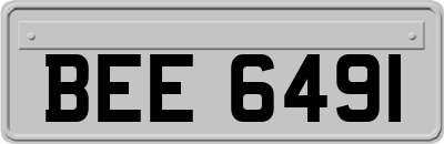 BEE6491