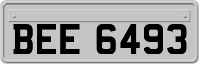 BEE6493