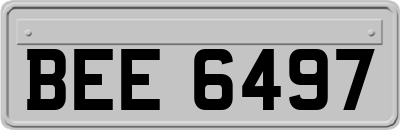 BEE6497