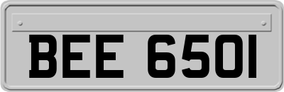 BEE6501