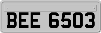 BEE6503