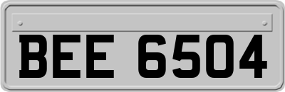 BEE6504