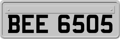 BEE6505