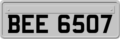 BEE6507