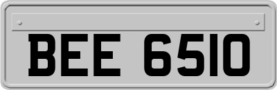 BEE6510