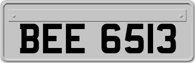 BEE6513