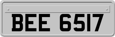 BEE6517