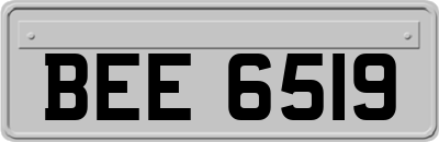 BEE6519