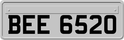 BEE6520