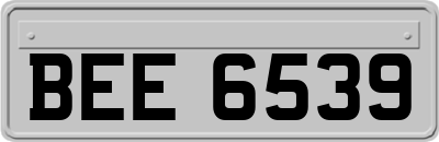 BEE6539