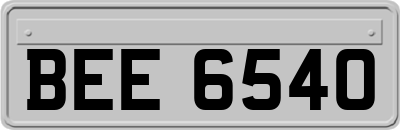 BEE6540