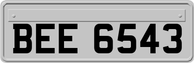 BEE6543