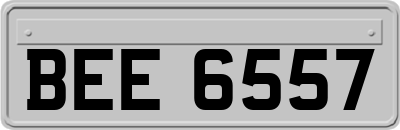 BEE6557