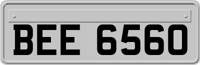 BEE6560