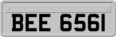 BEE6561