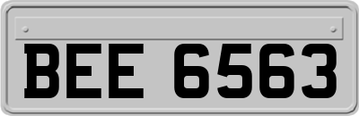 BEE6563