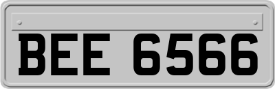 BEE6566