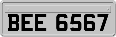 BEE6567