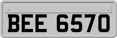 BEE6570