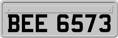 BEE6573