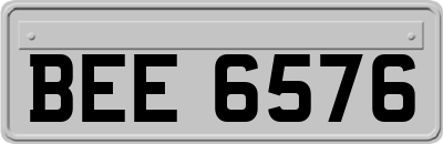 BEE6576