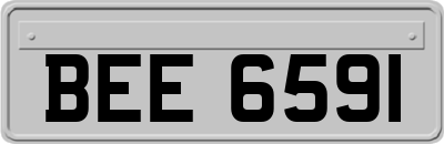 BEE6591