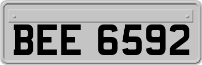 BEE6592