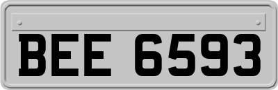 BEE6593