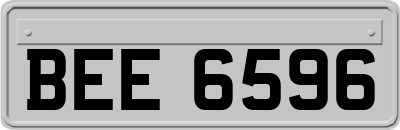 BEE6596