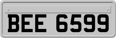 BEE6599