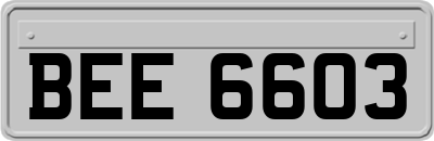 BEE6603