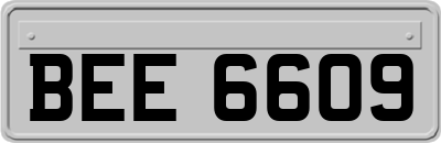 BEE6609