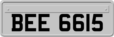 BEE6615