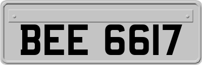 BEE6617