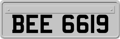 BEE6619