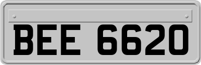 BEE6620