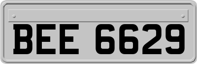 BEE6629