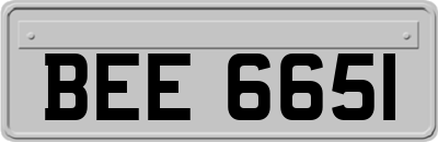 BEE6651