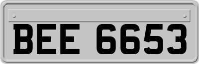 BEE6653