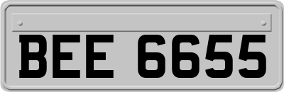 BEE6655