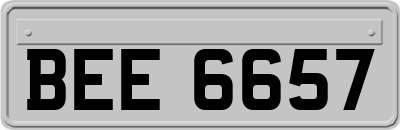 BEE6657