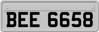 BEE6658