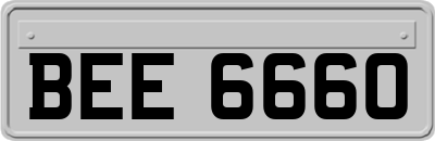 BEE6660