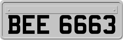 BEE6663