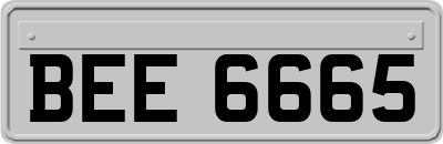 BEE6665