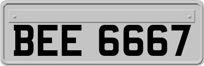 BEE6667